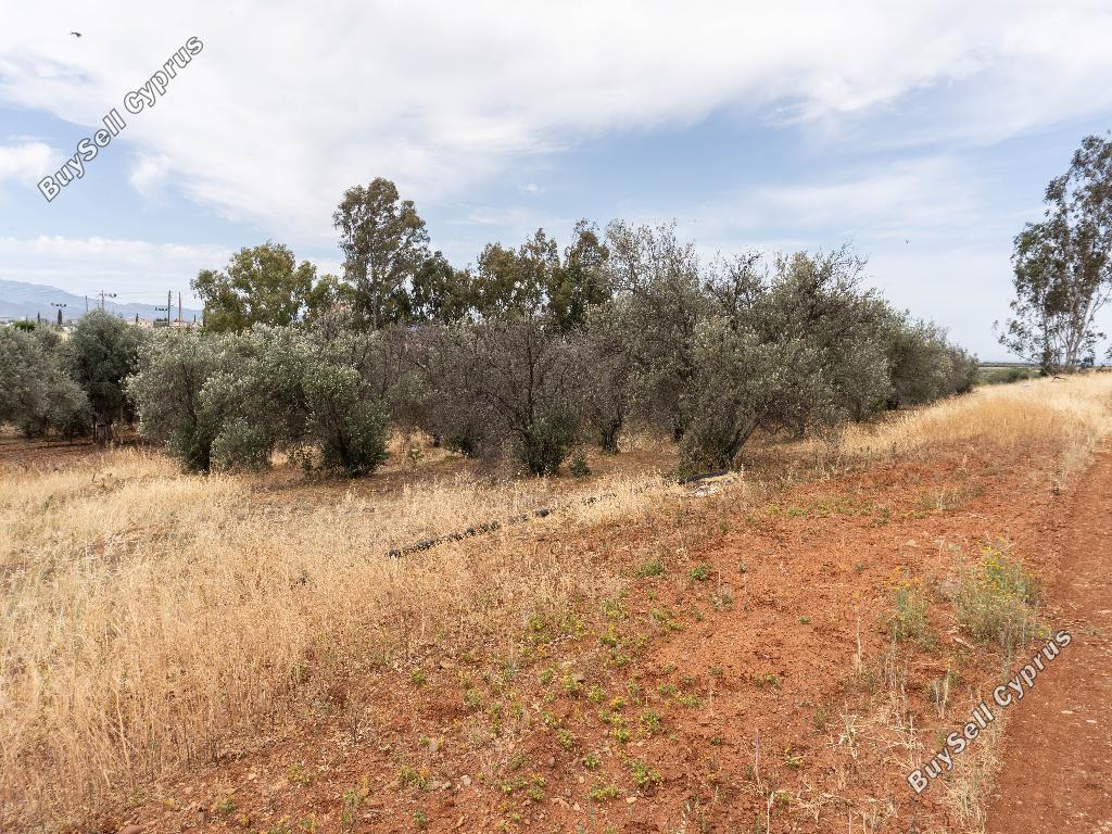 land for sale astromeritis nicosia 946205 image 7339495