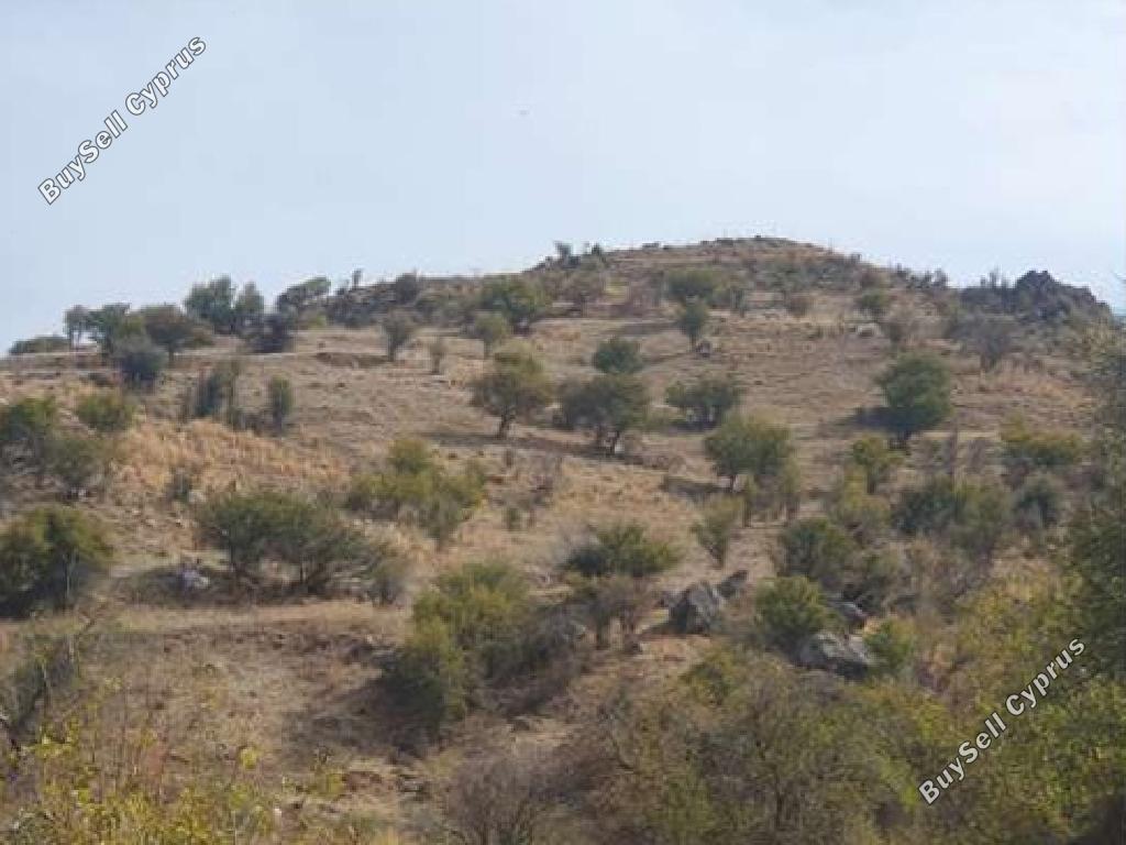 land for sale pentalia paphos 1674205 image 17625097
