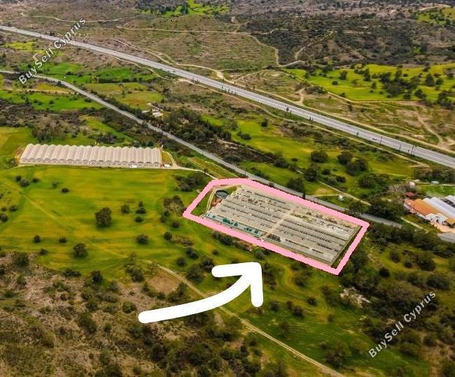 land for sale kornos larnaca 7962305 image 11437774