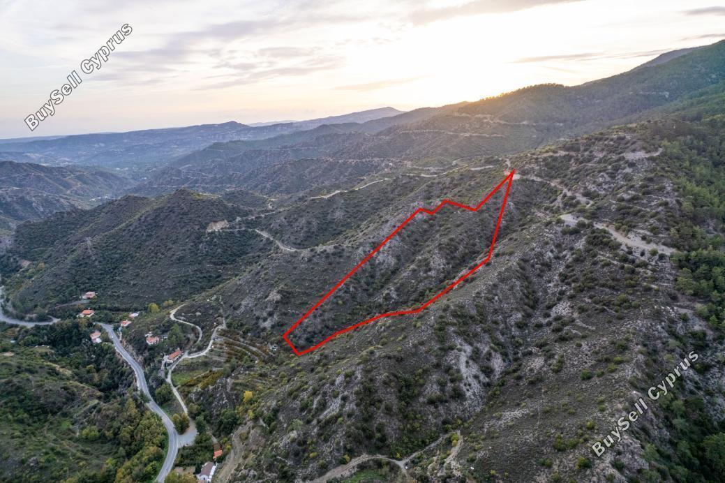 land for sale pelendri limassol 989305 image 7061470