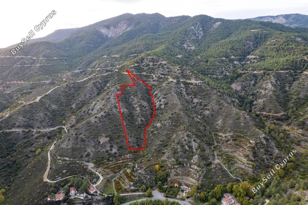land for sale pelendri limassol 989305 image 7061472