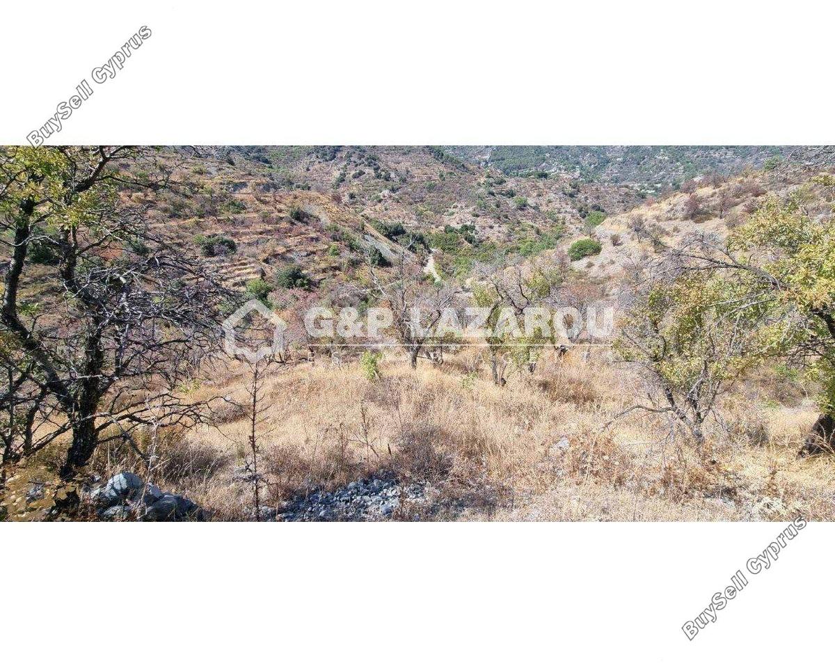 land for sale alona nicosia 8090405 image 13164966
