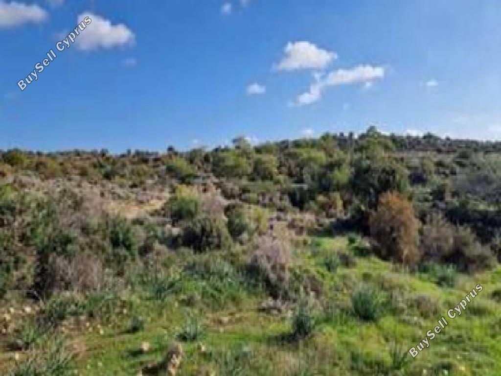 land for sale pissouri limassol 1721405 image 15596909