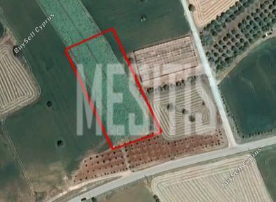 plot for sale alaminos larnaca 1843405 image 10523004