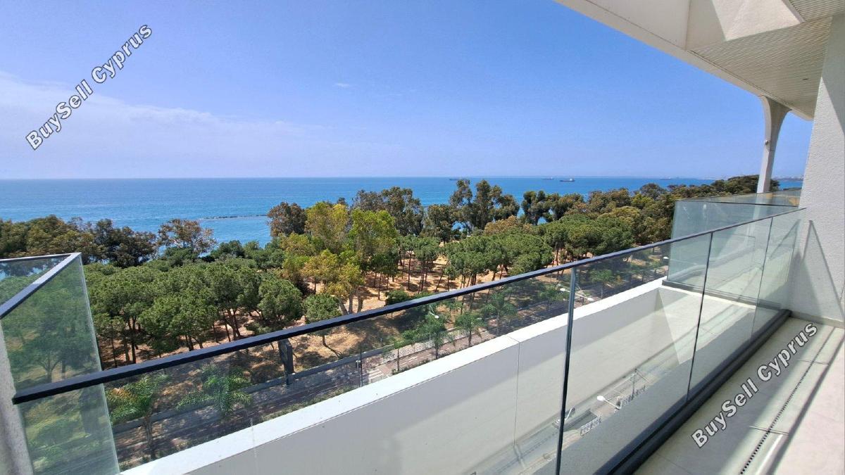 1 bedroom apartment for rent potamos germasogeias limassol 8681505 image 16541337