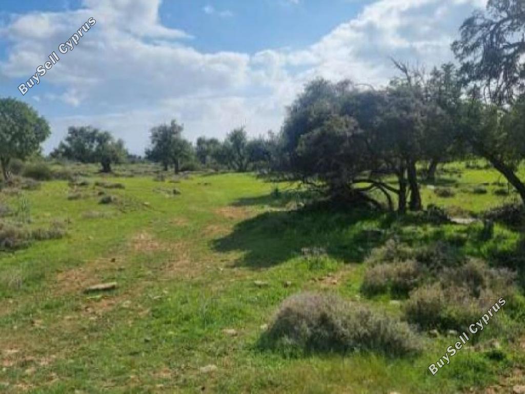 8362 SQM Land for sale in Anogyra, Limassol 15599854
