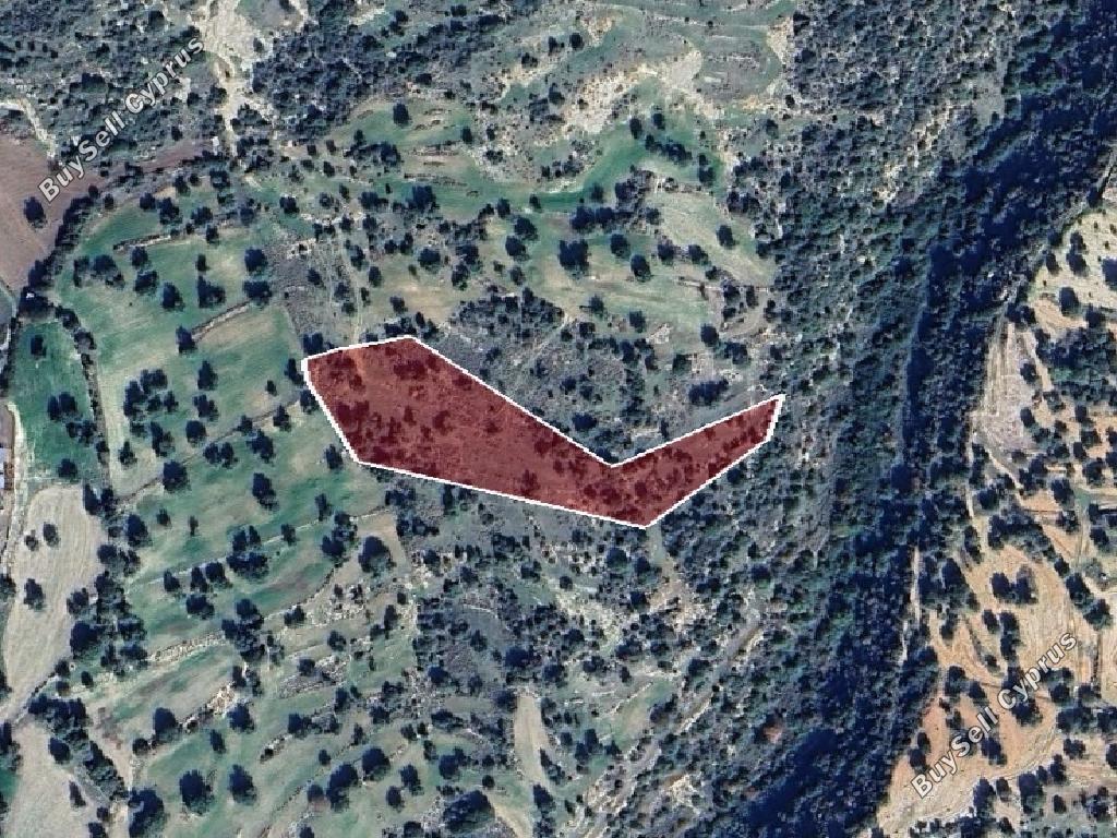 land for sale anogyra limassol 1464505 image 15599853