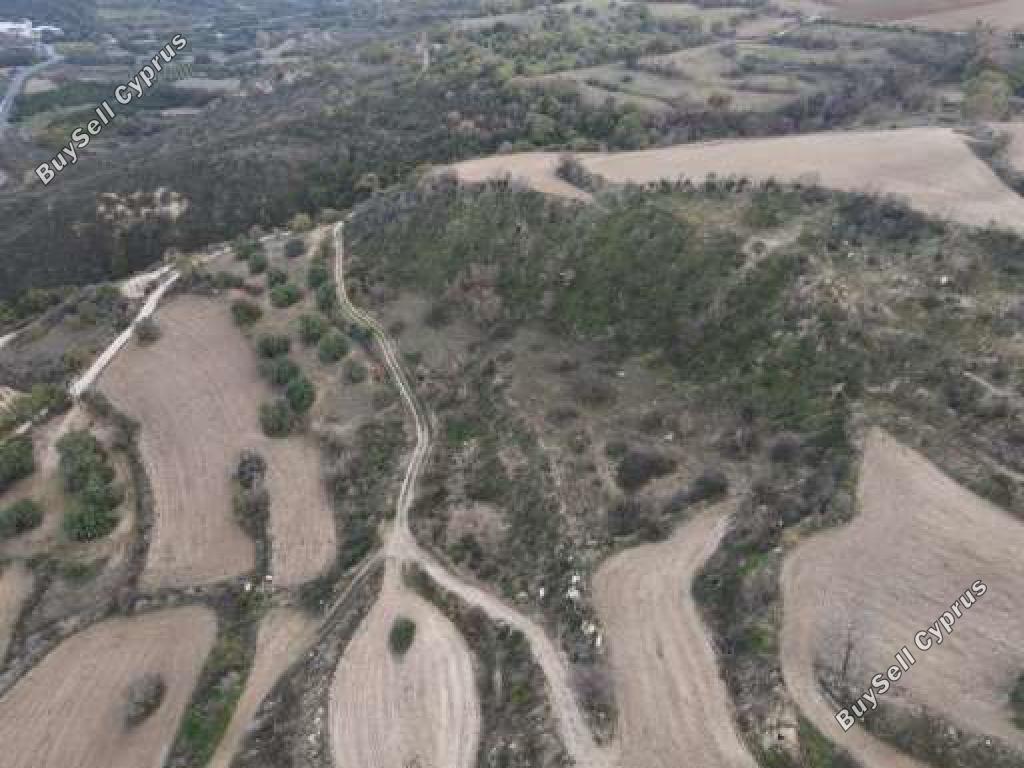 land for sale kato akourdalia paphos 1667505 image 15597422