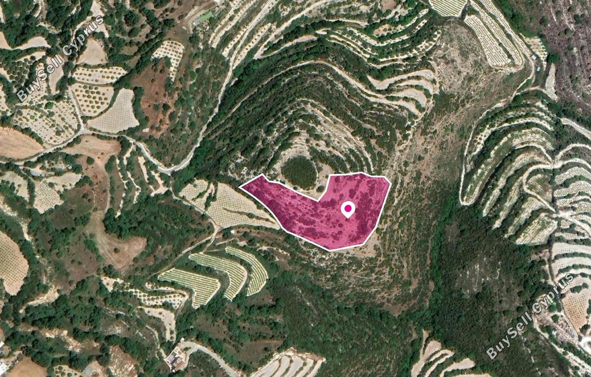 land for sale koili paphos 1057505 image 13347813