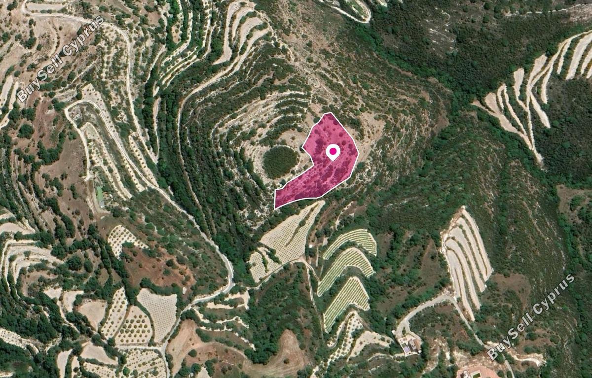 land for sale koili paphos 1057505 image 13347825