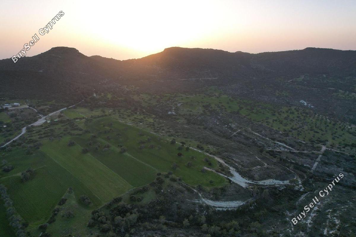 land for sale neo chorio paphos 1897505 image 14205973