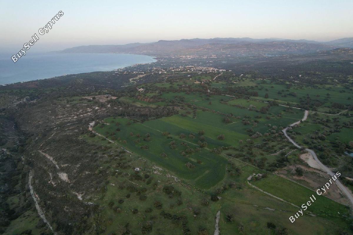 land for sale neo chorio paphos 1897505 image 14205974