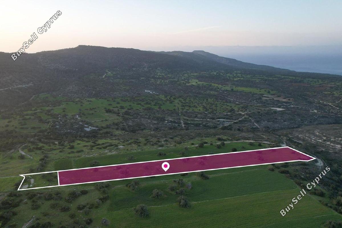land for sale neo chorio paphos 1897505 image 14205976
