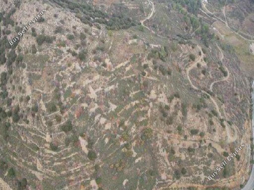 land for sale palaichori morfou nicosia 1689505 image 15597430