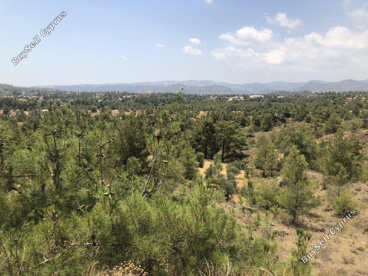 plot for sale kornos larnaca 1889505 image 7125926