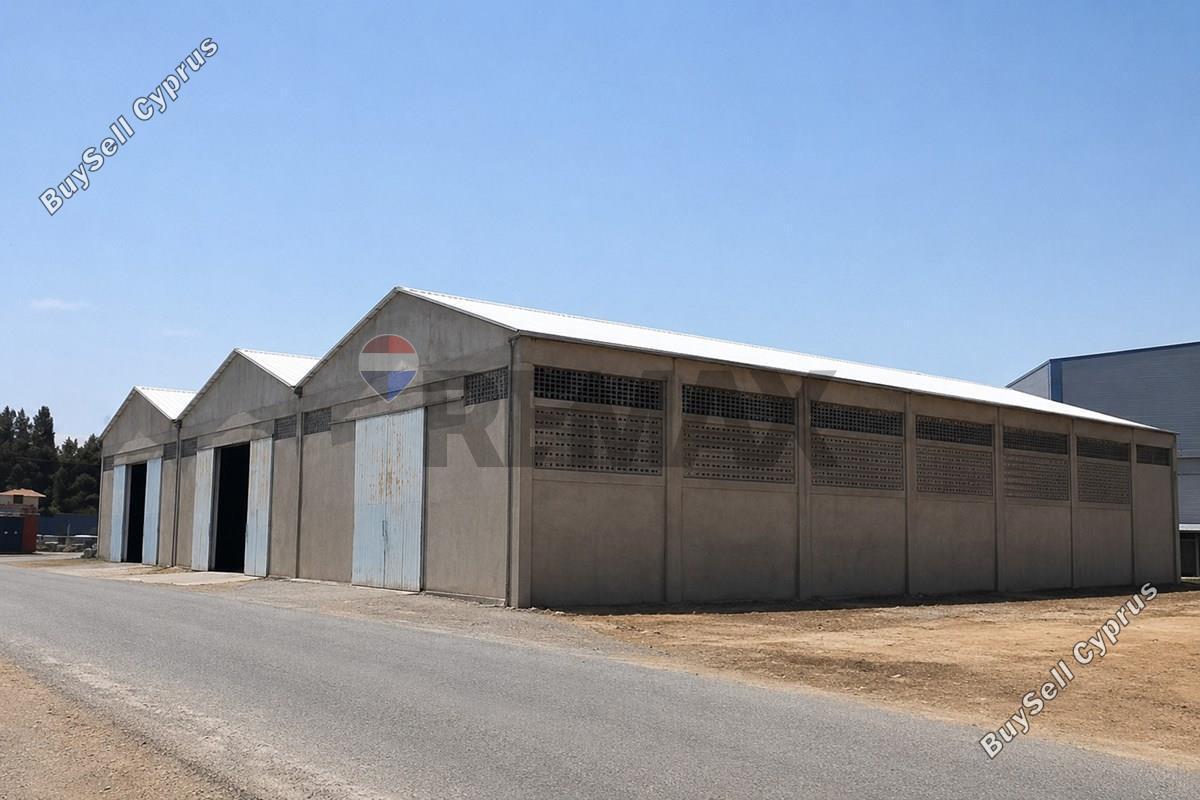 studio warehouse for rent ypsonas limassol 8798505 image 16716497