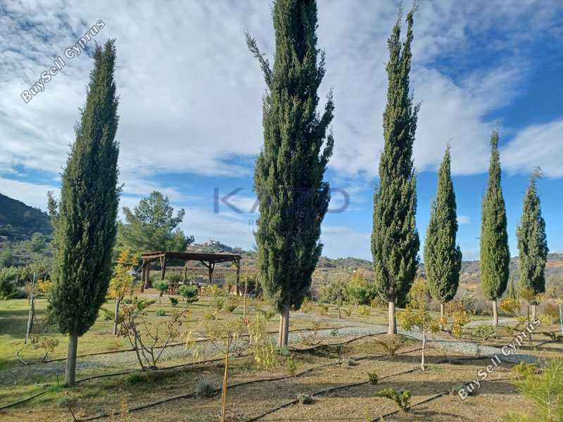 land for sale kellaki limassol 8897605 image 17348730