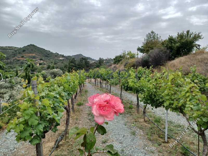 land for sale kellaki limassol 8897605 image 17348732