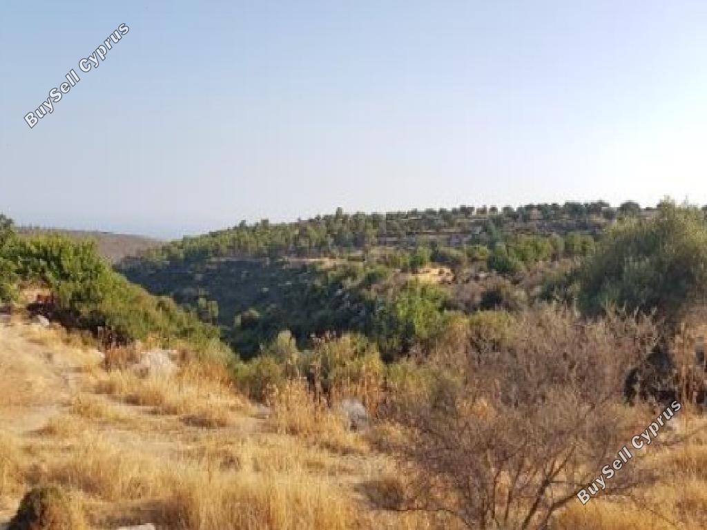 land for sale pachna limassol 826605 image 15600891