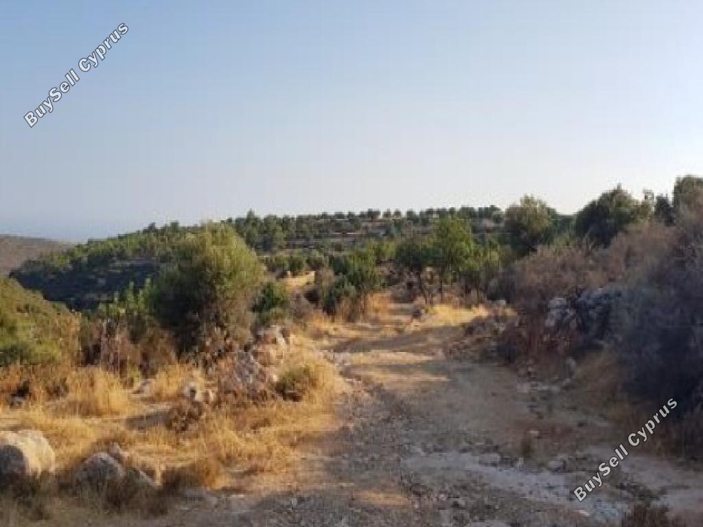 land for sale pachna limassol 826605 image 15600892