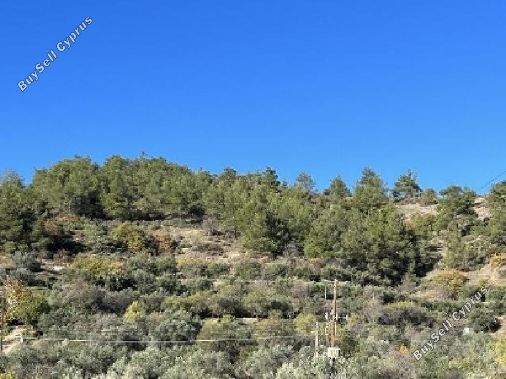 land for sale palaichori morfou nicosia 1443605 image 15600247