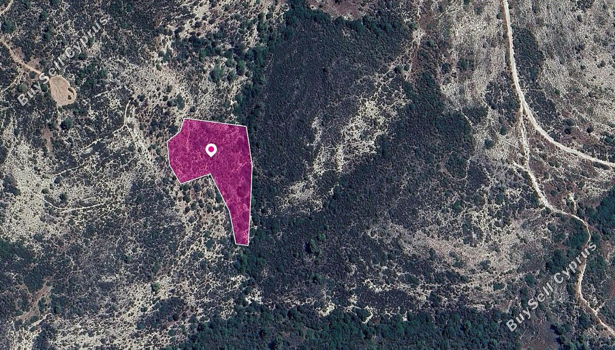 land for sale platanisteia limassol 1183605 image 14890635