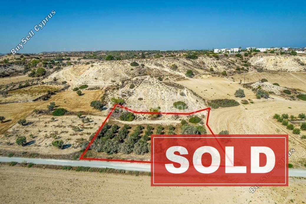 land sold mazotos larnaca 1225605 image 2322068