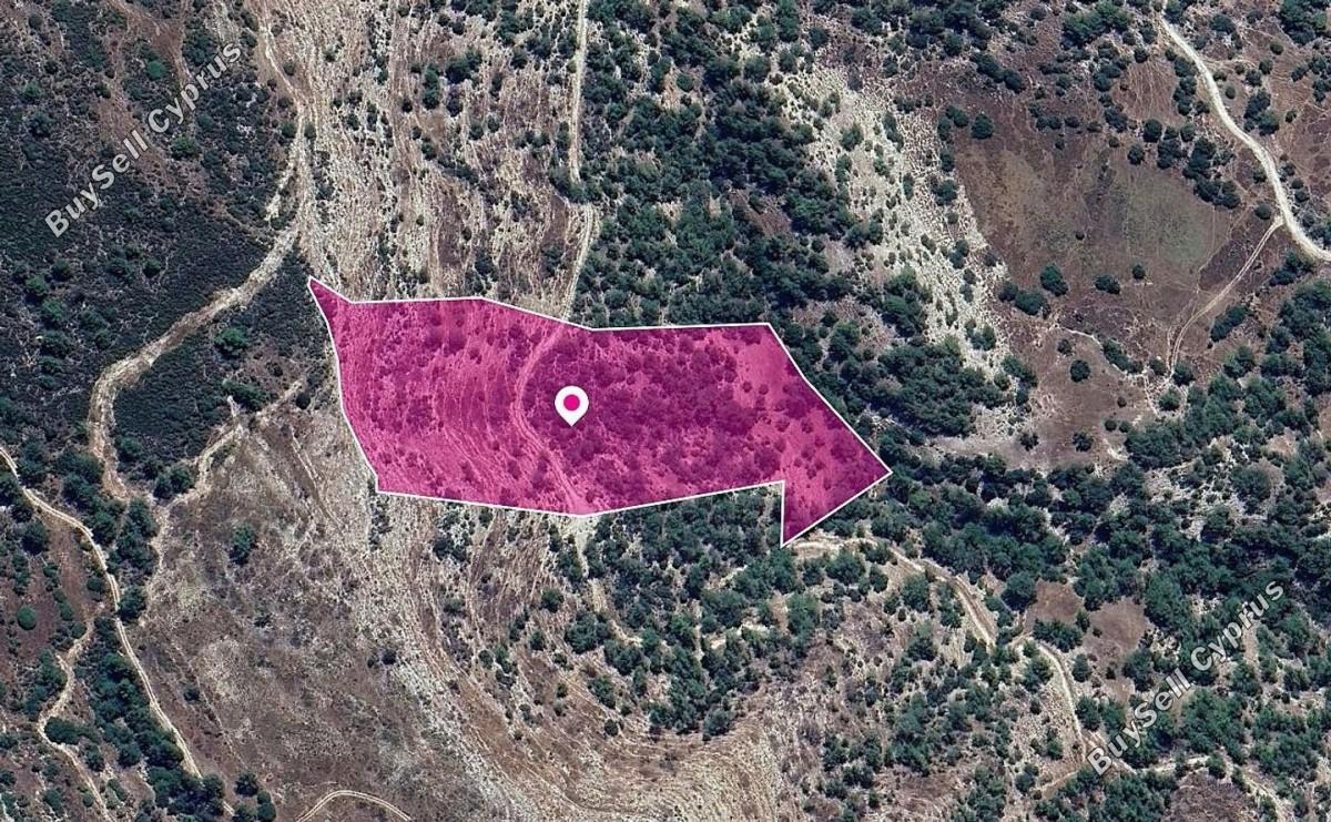 land for sale archimandrita paphos 8629705 image 15869601