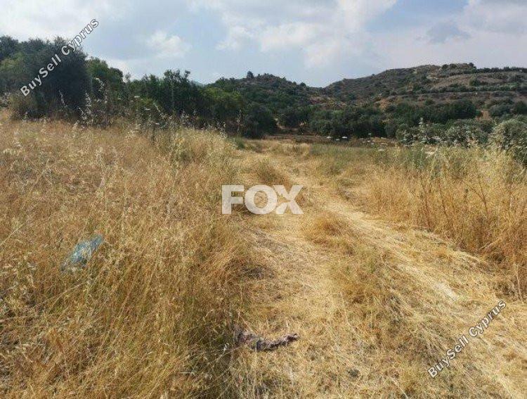 land for sale eptagoneia limassol 1146705 image 5501923