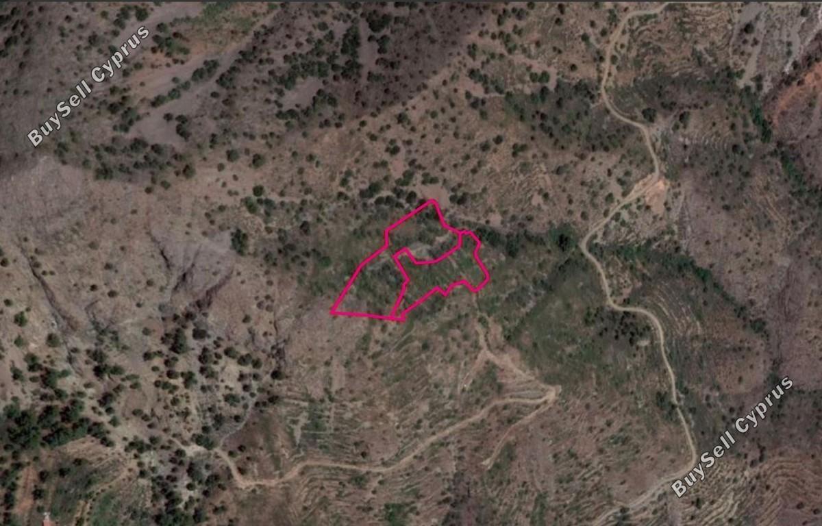 land for sale askas nicosia 8628905 image 15864263