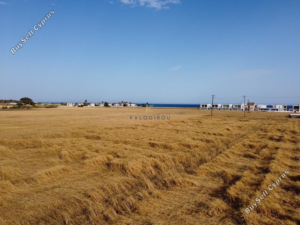 land for sale pervolia larnaca 8117905 image 13297068