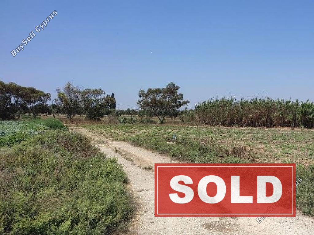 land sold kiti larnaca 883905 image 758656