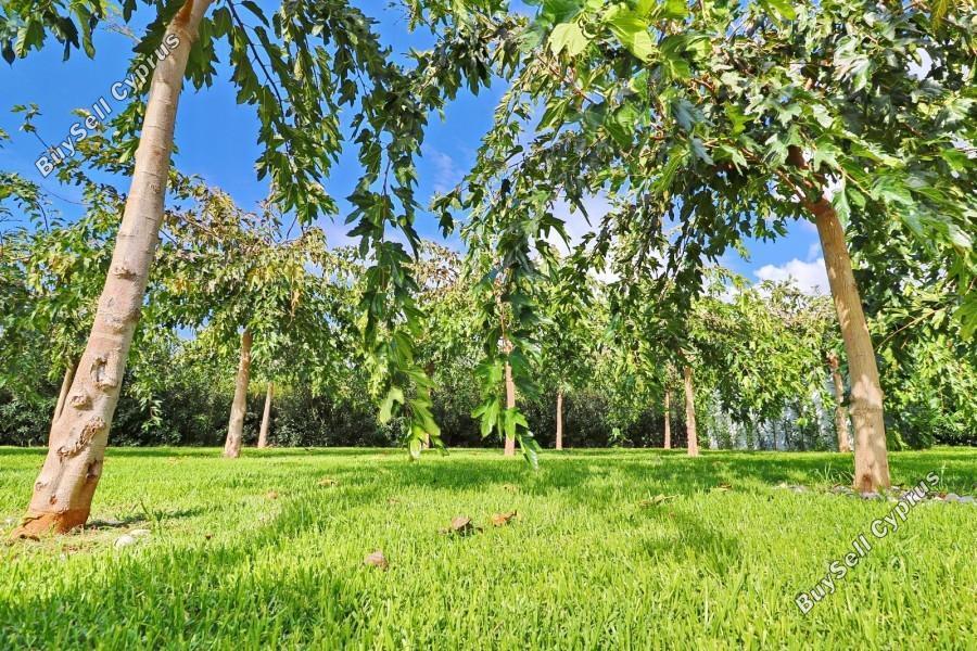 2 bedroom apartment for sale coral bay paphos 7739015 image 12165418