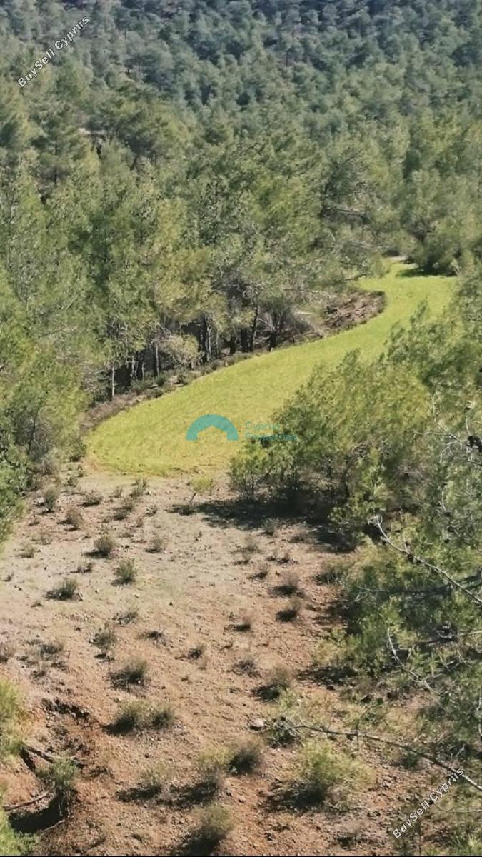 land for sale klirou nicosia 8374015 image 14598438