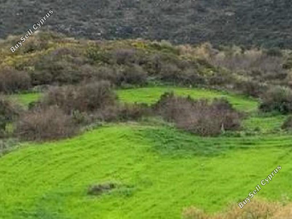 1673 SQM Land for sale in Terra, Paphos 15596711