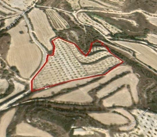plot for sale tsada paphos 1685115 image 4408830
