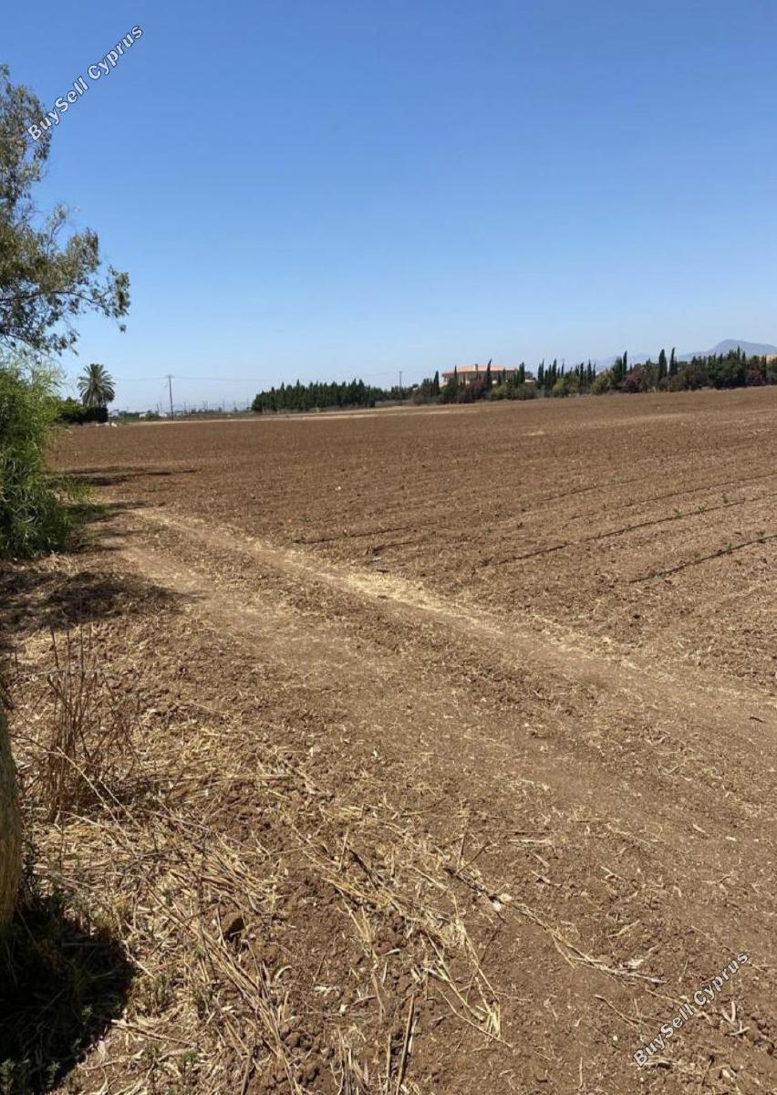 land for sale pervolia larnaca 1176215 image 12601529