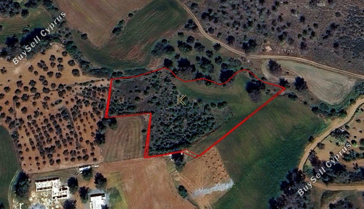 land for sale kornos larnaca 1689315 image 5711128