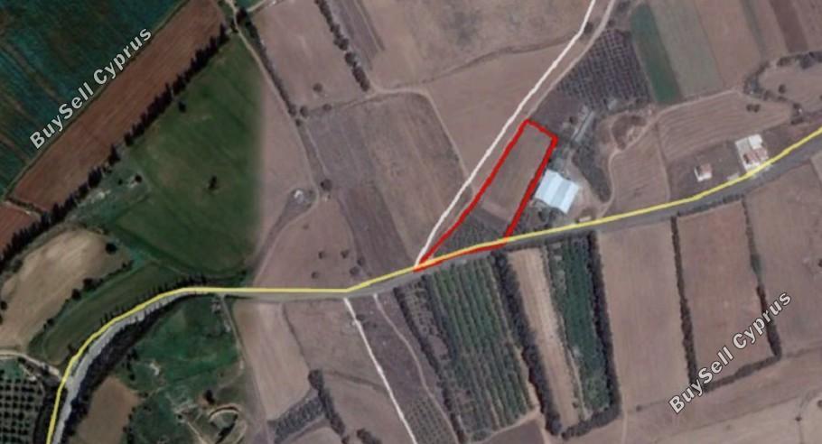land for sale kouklia pafou paphos 8395315 image 14818343