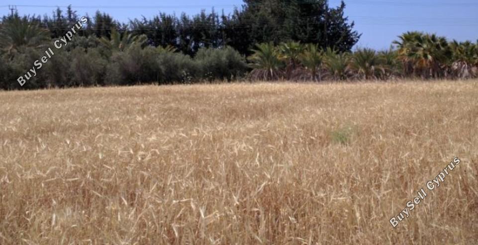 land for sale kouklia pafou paphos 8395315 image 14818344