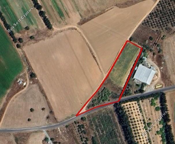 land for sale kouklia pafou paphos 8395315 image 14818345