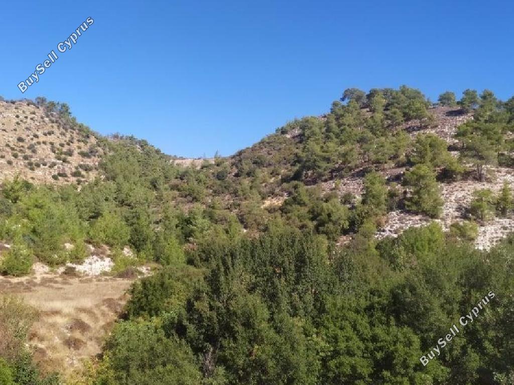land for sale pachna limassol 8139415 image 13387028