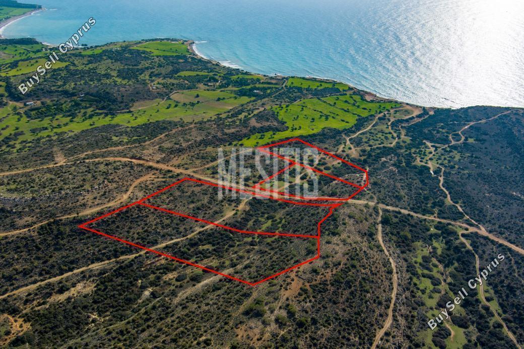 plot for sale pissouri limassol 975415 image 11042201