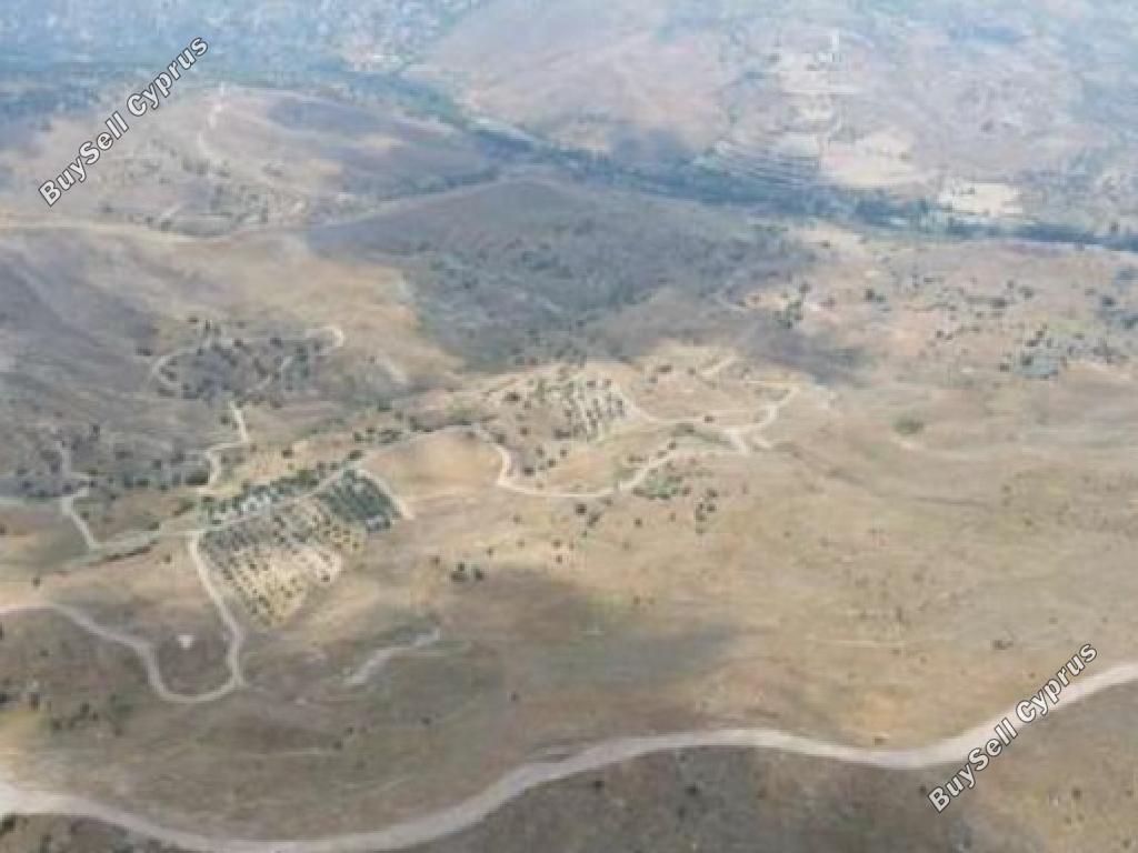 land for sale kilinia paphos 8629515 image 17010473