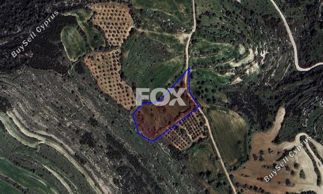 land for sale kritou tera paphos 1835515 image 14830334