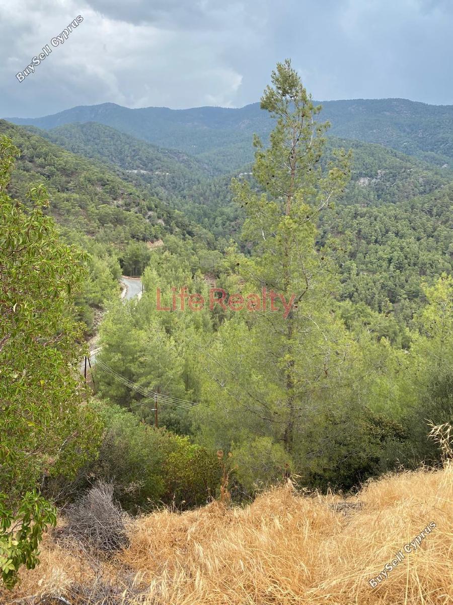 land for sale saittas limassol 8994515 image 18156819