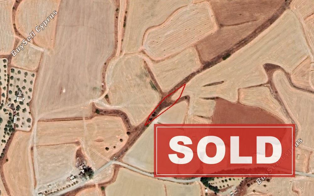 land sold athienou larnaca 930515 image 2830257