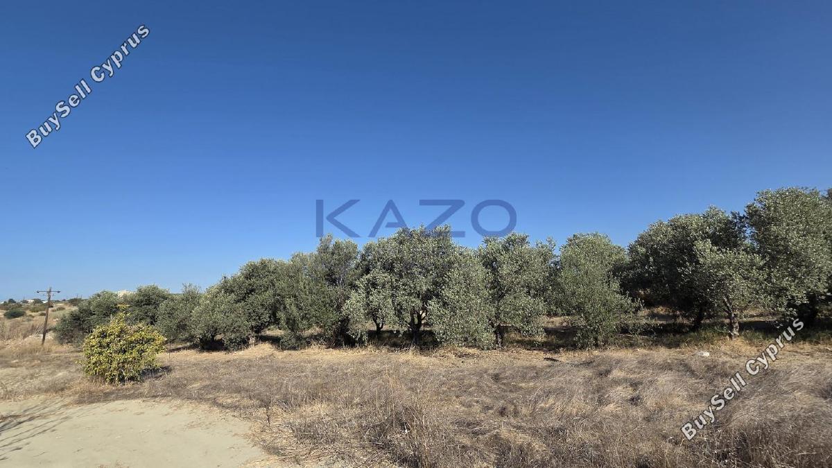 land for sale erimi limassol 1905615 image 14047350