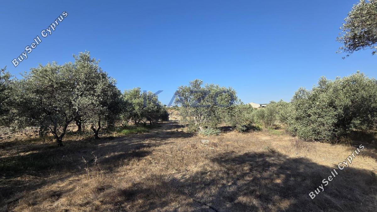 land for sale erimi limassol 1905615 image 14047353