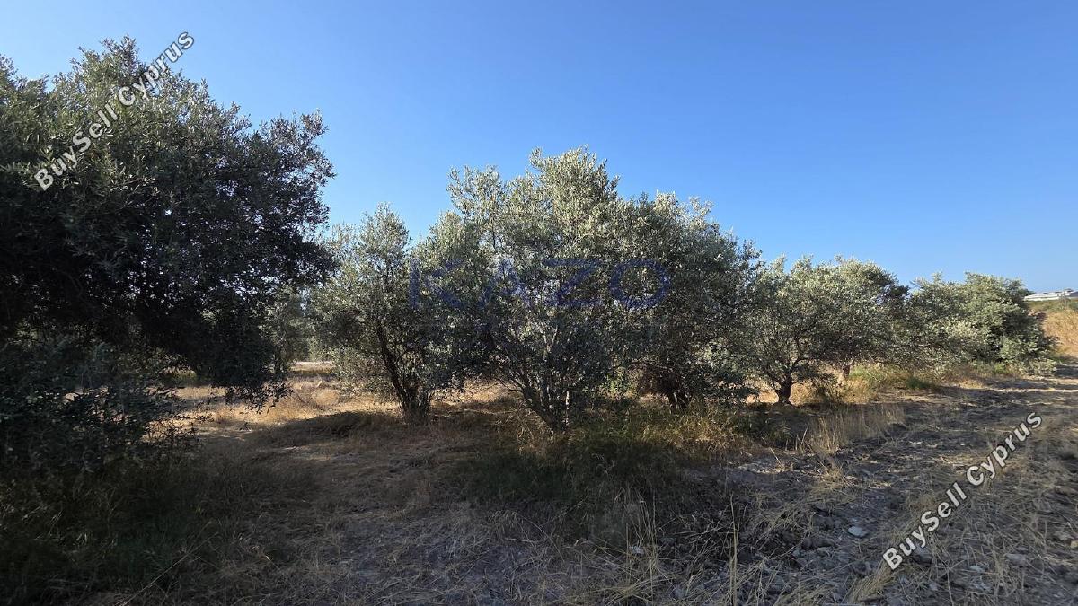 land for sale erimi limassol 1905615 image 14047354